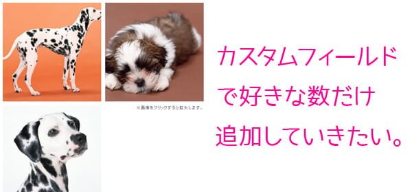 カスタムフィールドで好きなだけ追加していきたい